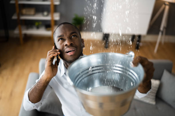 Best Water damage restoration services  in Carrollton, AL