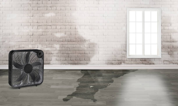 Best Commercial water damage restoration  in Carrollton, AL