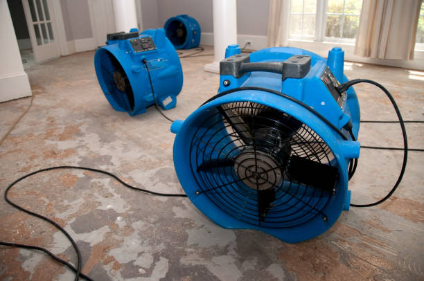 Best Water damage restoration process  in Carrollton, AL