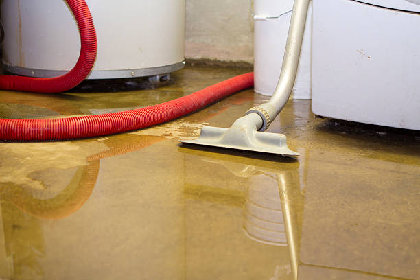 Best Carpet water damage restoration  in Carrollton, AL